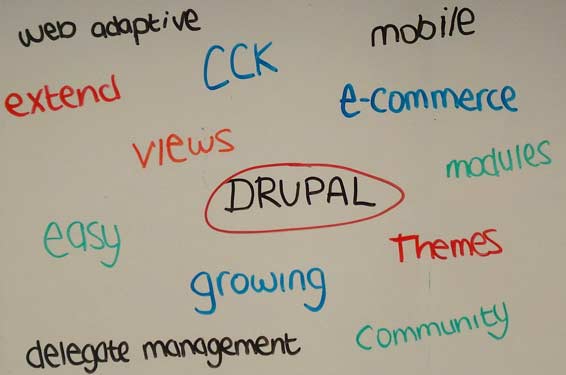 Drupal consultants