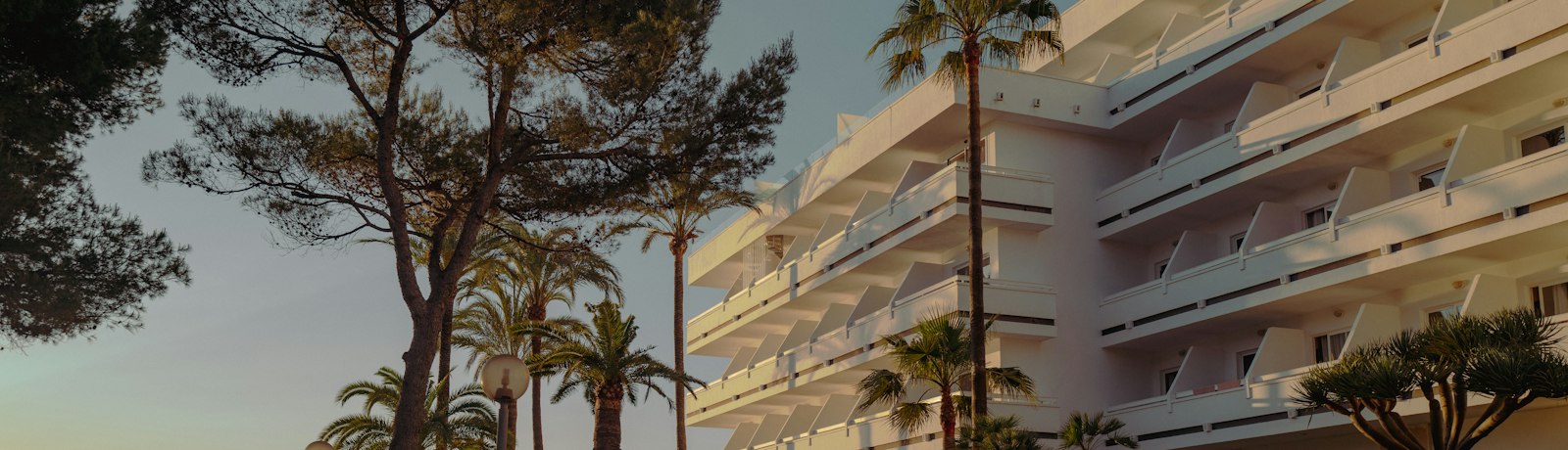 Resort hotel with palm trees, the venue style for an 800-attendee corporate event in Spain